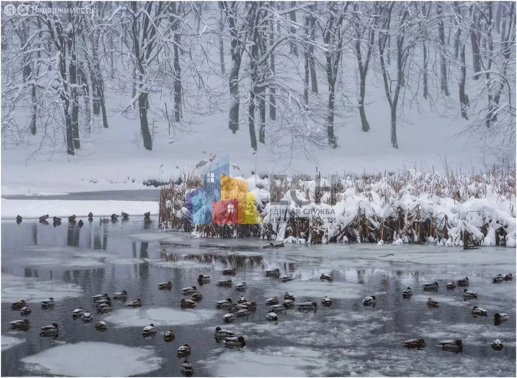 Дом в Тула, СНТ Ласточка, 1 (25 м) - Фото 1