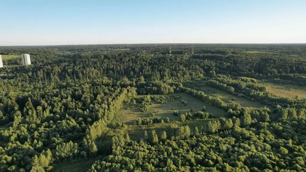 Участок в Московская область, Звенигород Одинцовский городской округ, ... - Фото 1