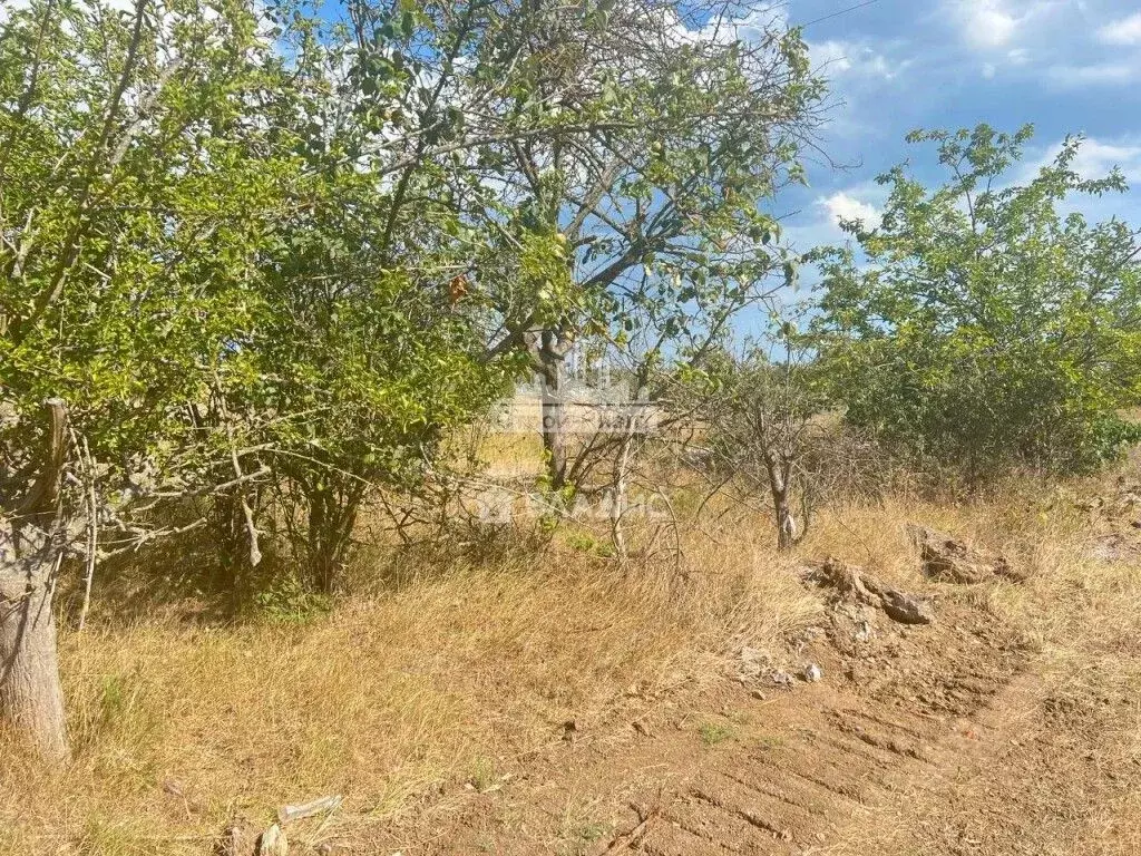 Участок в Крым, Керчь Степное-2 СПК, ул. Центральная (8.0 сот.) - Фото 2