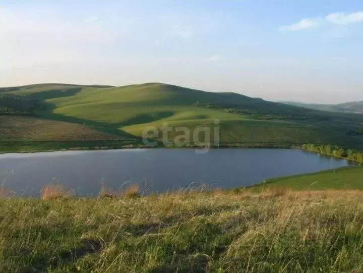 Участок в Алтай, Майминский район, с. Подгорное Центральная ул. (11.62 ... - Фото 2