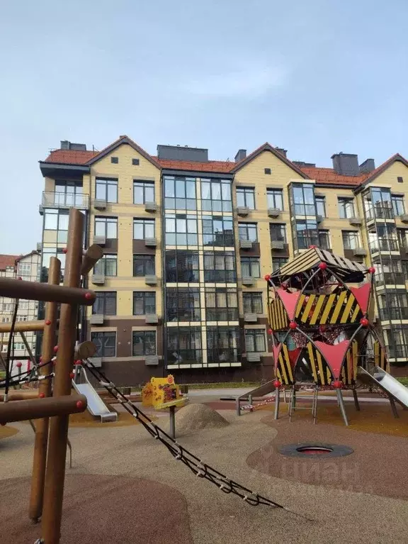 Студия Калининградская область, Светлогорск Майский проезд, 11 (24.3 ... - Фото 2