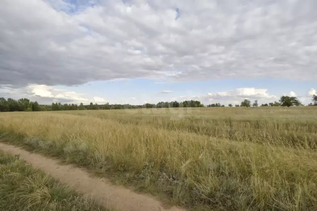 Участок в Оренбургская область, Илекский район, с. Кардаилово  (900.0 ... - Фото 2