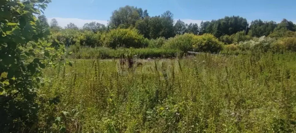 Участок в Томская область, Томский район, д. Барабинка Садовый пер. ... - Фото 1