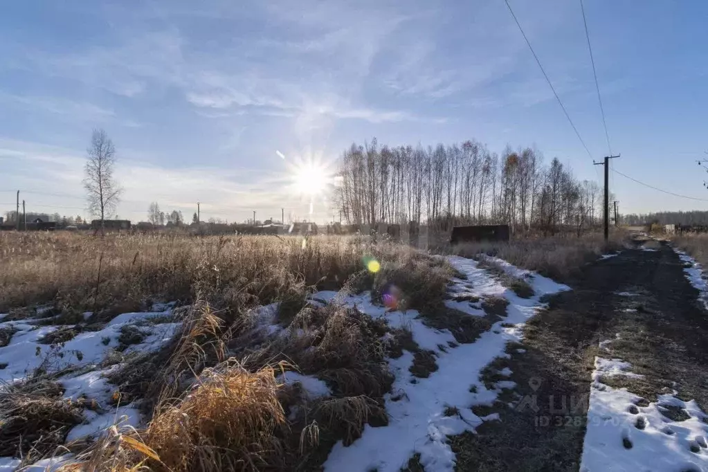 Участок в Тюменская область, Ялуторовский муниципальный округ, ... - Фото 1