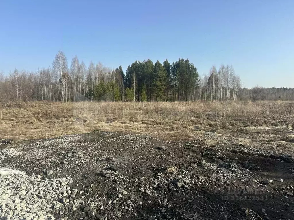 Участок в Тюменская область, Нижнетавдинский район, Березка СНТ  (18.0 ... - Фото 0