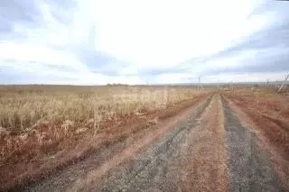 Участок в Башкортостан, Мелеузовский район, Зирганский сельсовет, д. ... - Фото 1