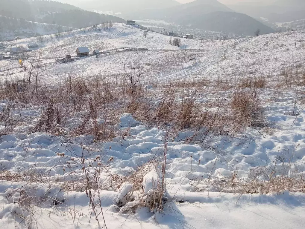 Участок в Алтай, Майминский район, с. Кызыл-Озек  (10.0 сот.) - Фото 0