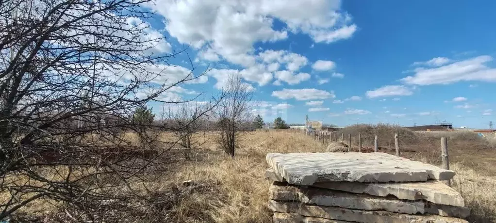Участок в Воронежская область, Рамонский район, Айдаровское с/пос, с. ... - Фото 1