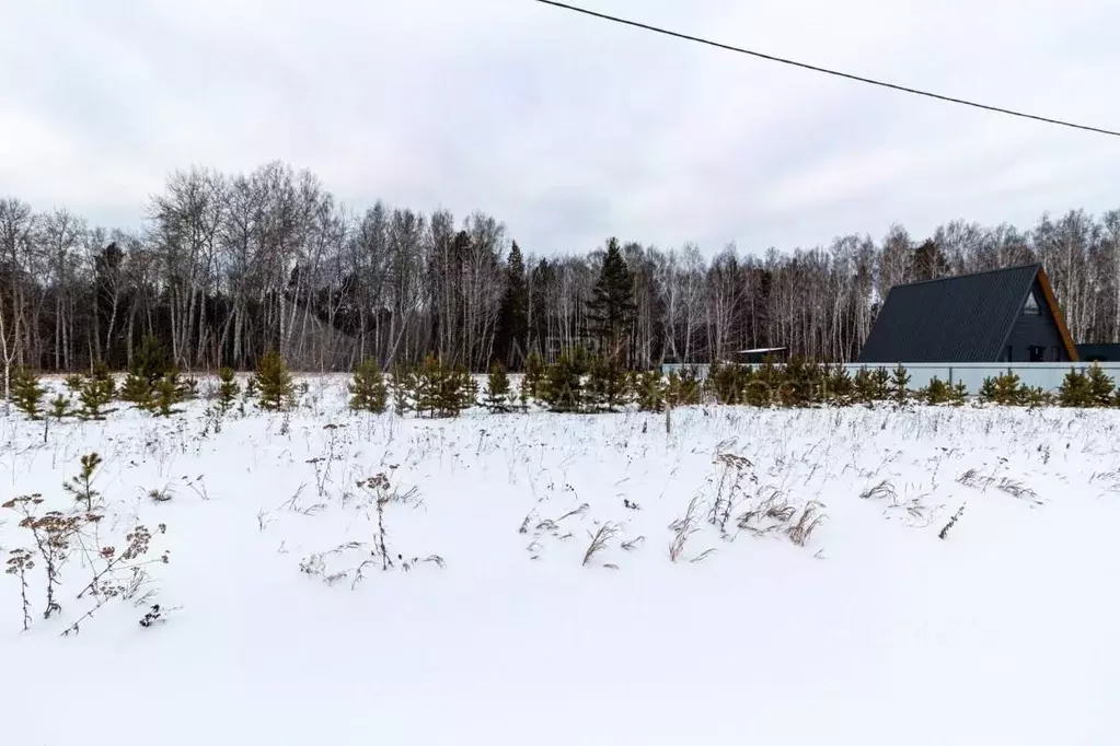 Участок в Тюменская область, Тюменский район, с. Кулига  (12.34 сот.) - Фото 1
