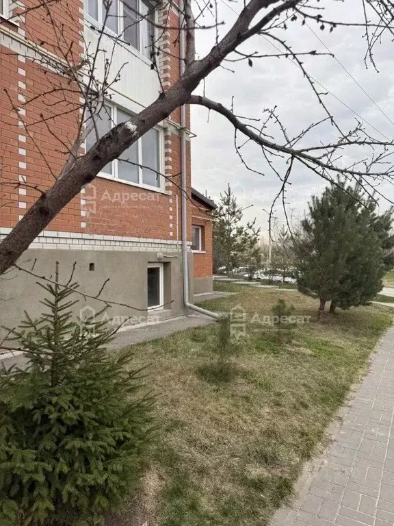 Помещение свободного назначения в Волгоградская область, Волгоград ... - Фото 2