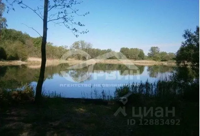 Участок в Калининградская область, Багратионовский муниципальный ... - Фото 1