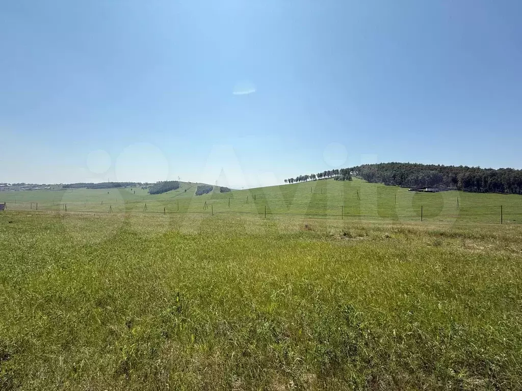 Участок 8 сот. (СНТ, ДНП) - Фото 0