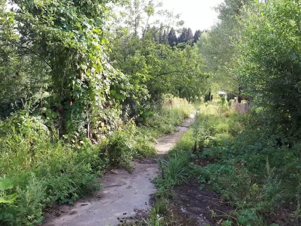 Участок в Московская область, Химки городской округ, д. Рузино  (250.0 ... - Фото 0