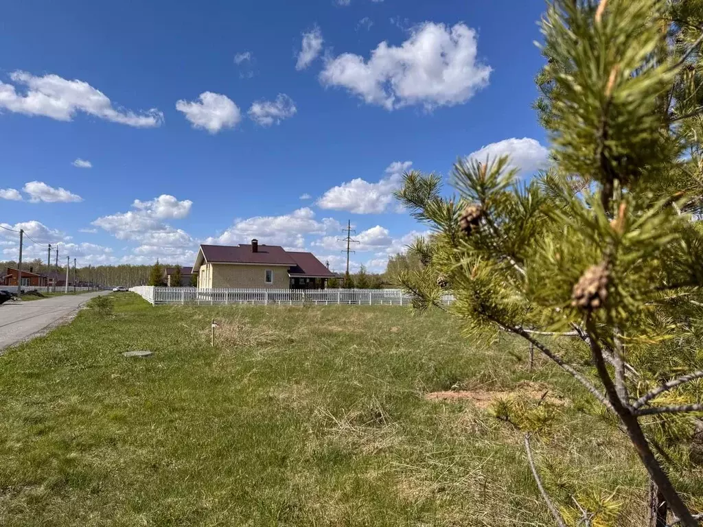 Участок в Омская область, Омский район муниципальный округ, с. ... - Фото 1