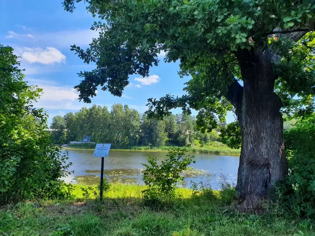 Дом в Ленинградская область, Гатчинский район, Вырица городской ... - Фото 1