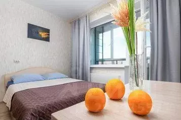 1-к кв. Новосибирская область, Новосибирск ул. Титова, 257 (24.0 м) - Фото 0