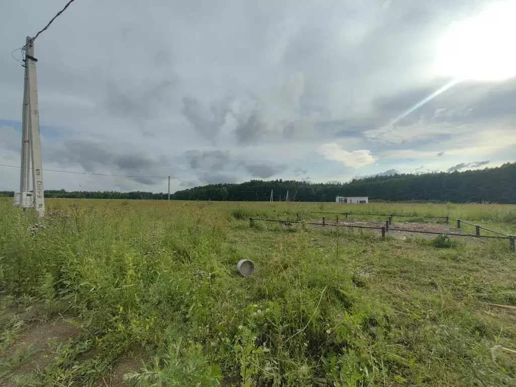 Участок в Московская область, Богородский городской округ, д. Исаково ... - Фото 1