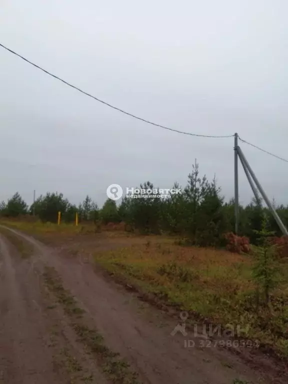 Участок в Кировская область, Кирово-Чепецкий район, Федяковское с/пос, ... - Фото 2