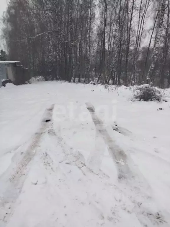 Участок в Брянская область, Брянский район, Снежское с/пос, с. ... - Фото 2