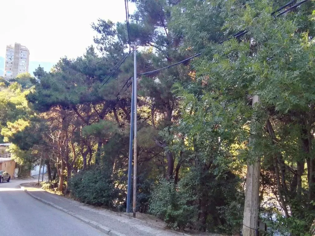 Участок в Крым, Ялта ул. Ленинградская (8.0 сот.) - Фото 1