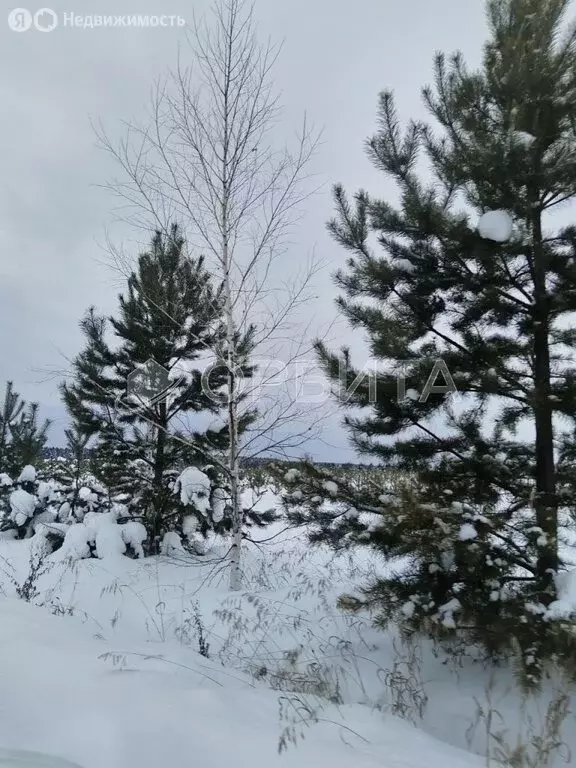 Участок в Тюменский муниципальный округ, деревня Зубарева (4 м) - Фото 1