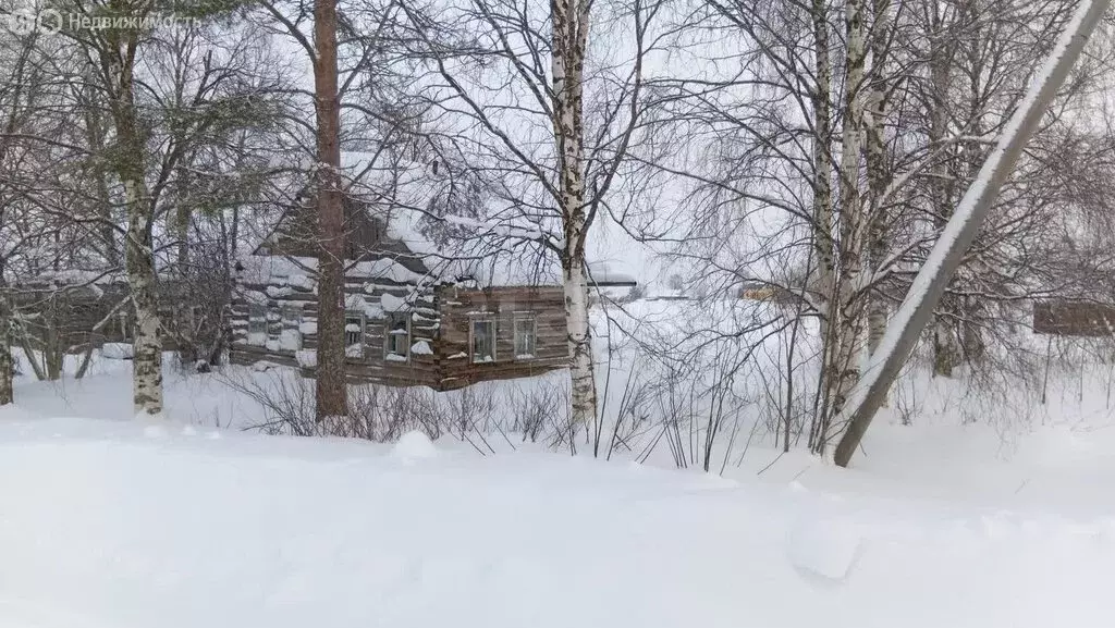 Участок в Архангельская область, Холмогорский муниципальный округ, ... - Фото 1