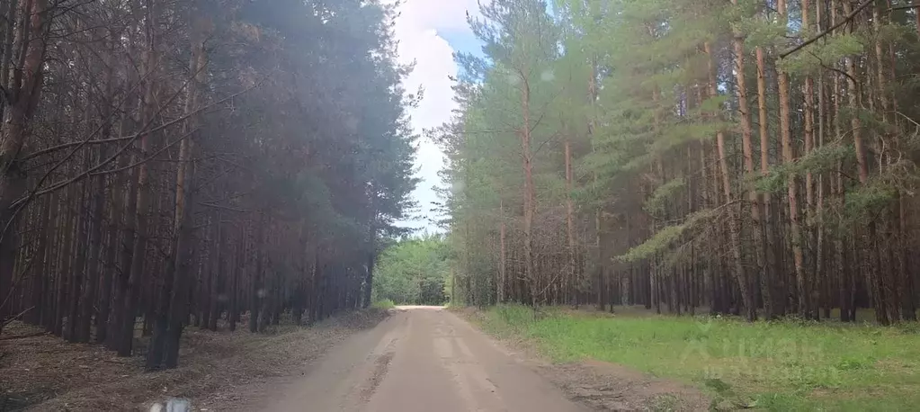Участок в Челябинская область, Увельский муниципальный округ, с. ... - Фото 1