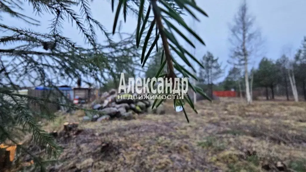 Участок в Ленинградская область, Приозерский район, Ларионовское ... - Фото 0