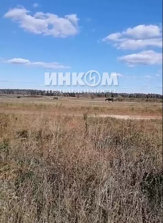 Участок в Калужская область, Жуковский муниципальный округ, д. Алопово ... - Фото 1