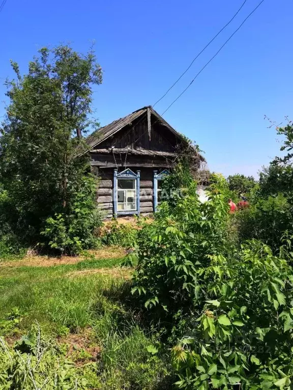 Участок в Алтайский край, Зональный район, с. Буланиха ул. Елютина, 8 ... - Фото 0