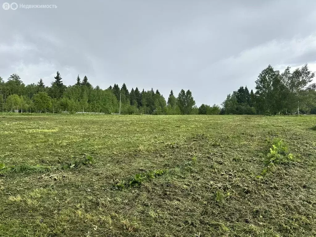 Участок в Сергиево-Посадский городской округ, деревня Житниково (20 м) - Фото 2