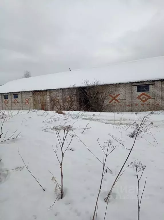 Участок в Ярославская область, Мышкинский муниципальный округ, д. ... - Фото 0