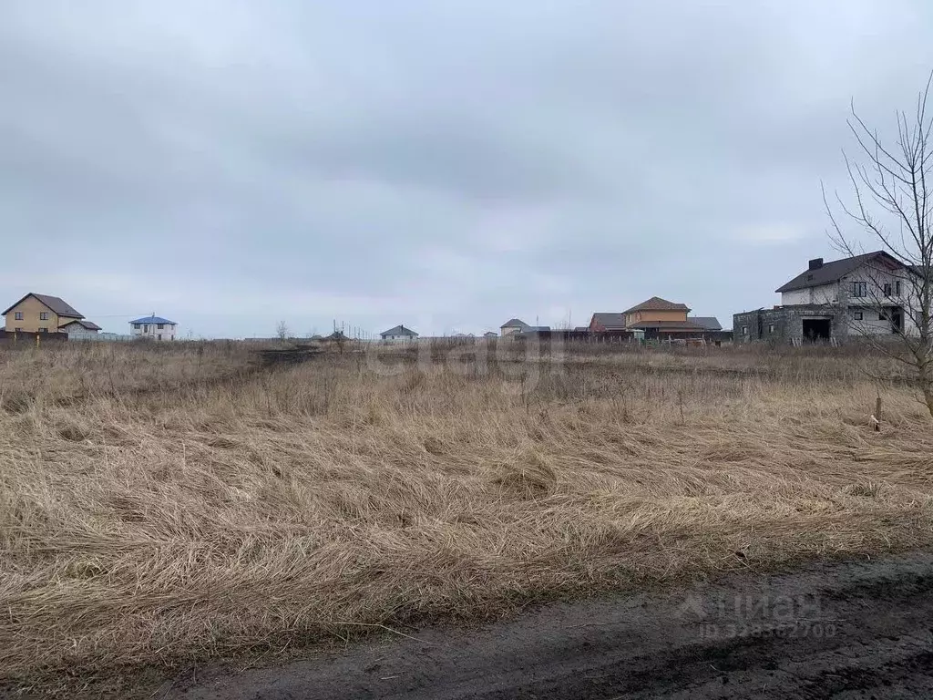 Участок в Курская область, Курский район, Новопоселеновский сельсовет, ... - Фото 2