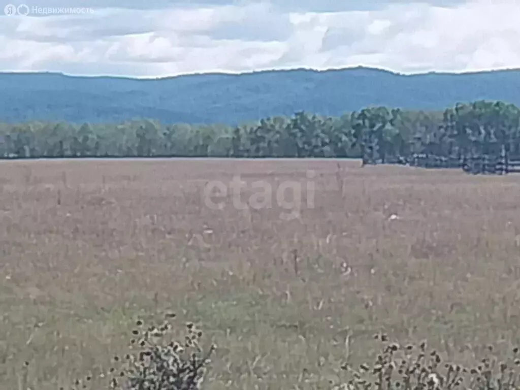 Участок в Кабанский район, село Оймур (359.77 м) - Фото 0