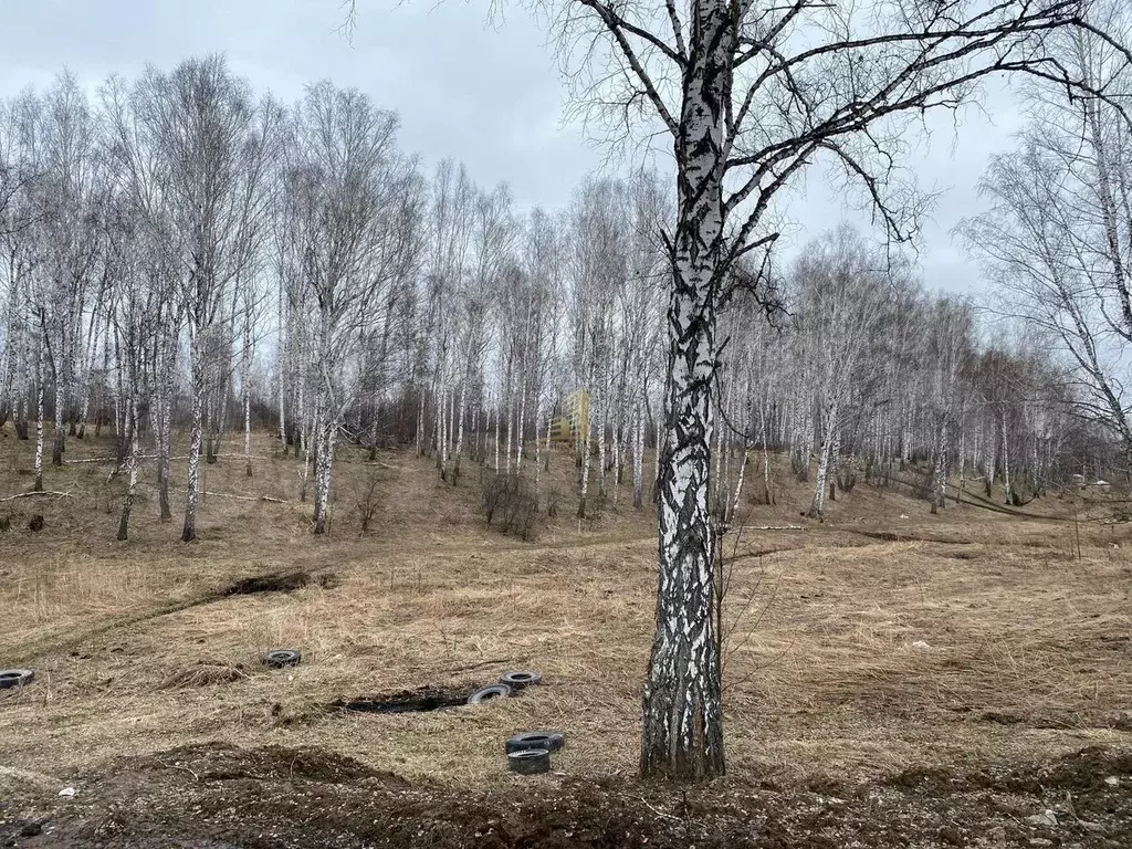 Участок 10 сот. (СНТ, ДНП) - Фото 0
