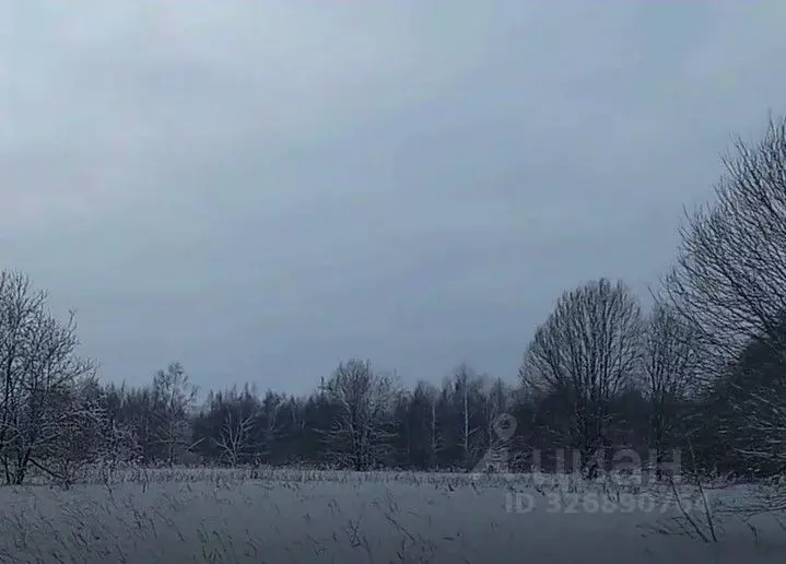 Участок в Московская область, Дмитровский муниципальный округ, д. ... - Фото 1