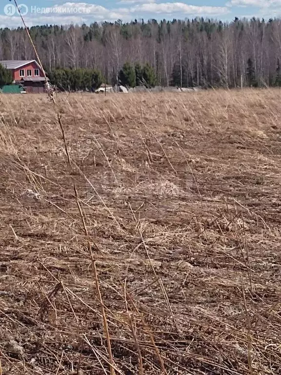 Участок в Красноярский край, Манско-Уярский муниципальный округ, ... - Фото 2