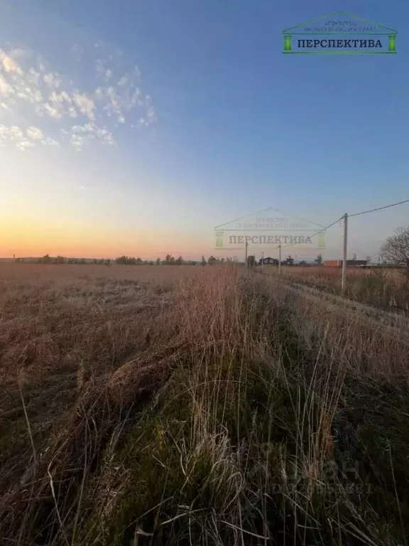 Участок в Приморский край, Надеждинский район, пос. Зима Южная ул. ... - Фото 1