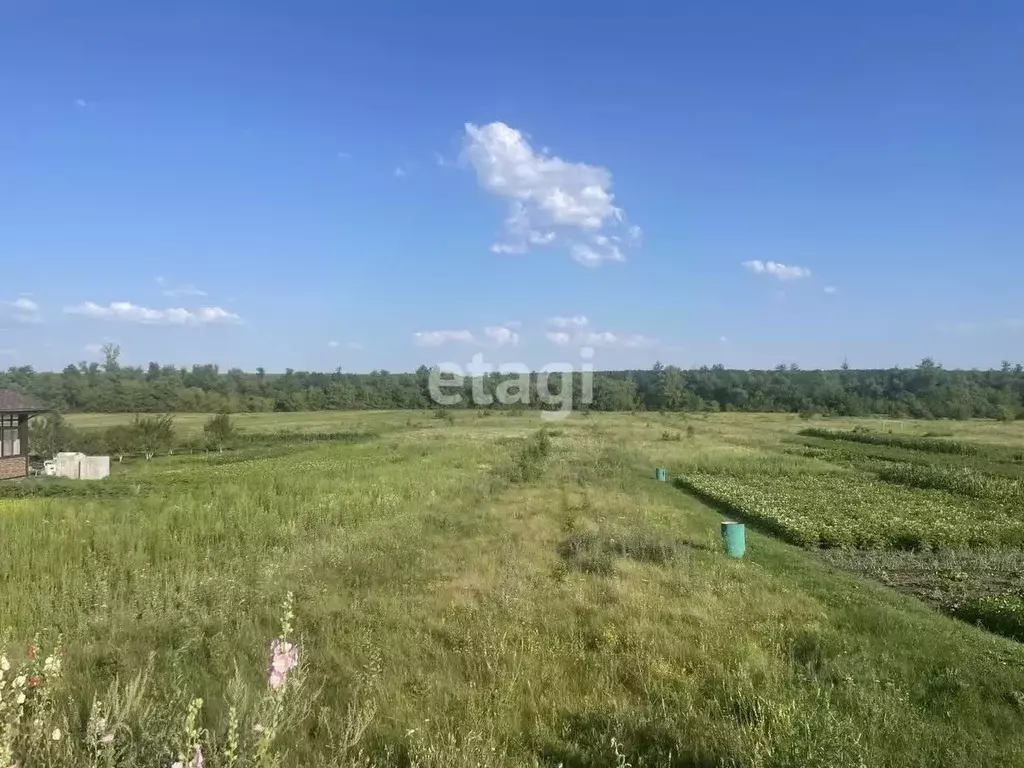 Участок в Белгородская область, Старооскольский городской округ, с. ... - Фото 2