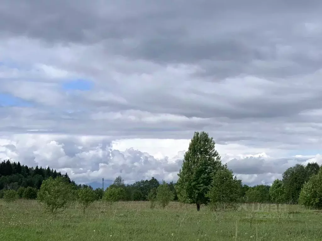 Участок в Ленинградская область, Гатчинский район, Рождественское ... - Фото 1