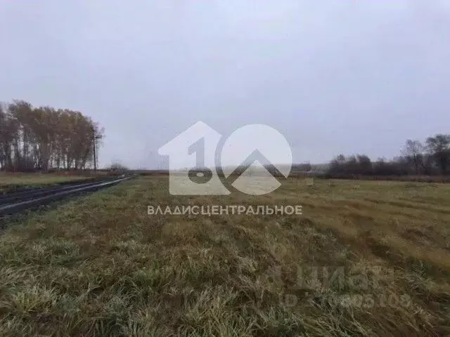 Участок в Новосибирская область, Новосибирский район, Верх-Тулинский ... - Фото 2