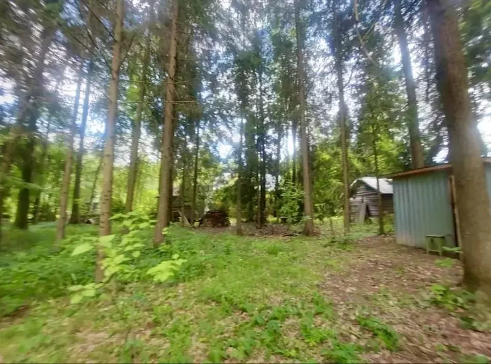 Участок в Московская область, Пушкинский городской округ, ... - Фото 2