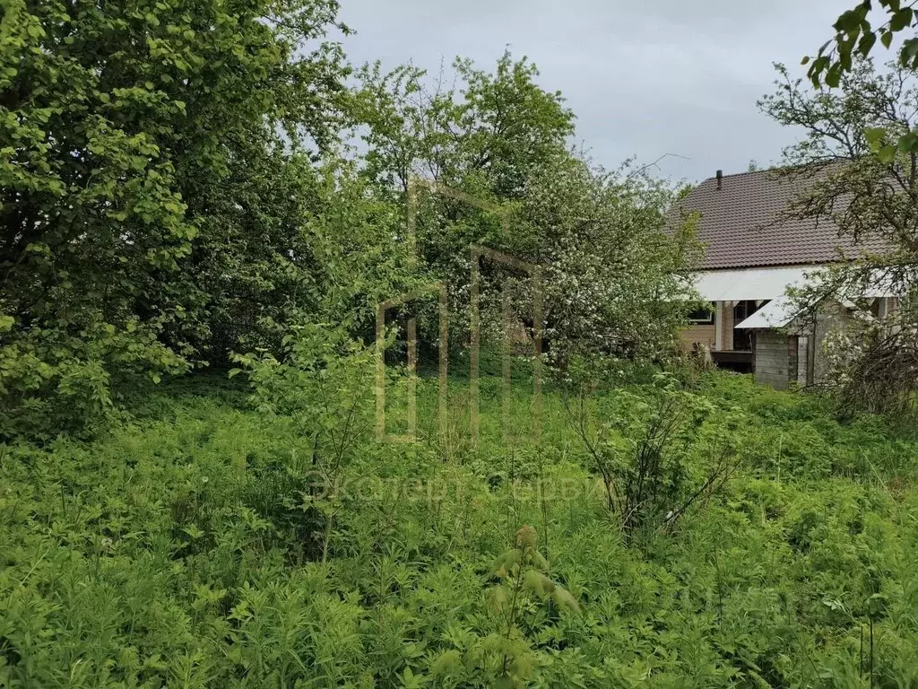 Участок в Ленинградская область, Выборгский район, Рощино городской ... - Фото 2