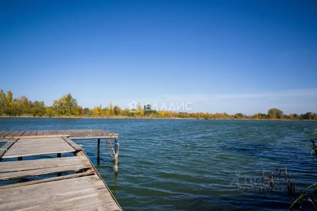 Дом в Саратовская область, Балаковский район, Быково-Отрогское ... - Фото 1