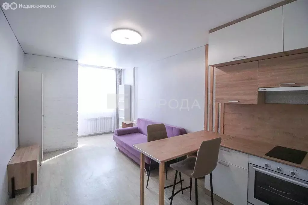 Квартира-студия: Барнаул, Песчаная улица, 190 (24.7 м) - Фото 2