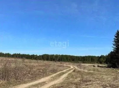 Коттедж в Пермский край, Добрянский городской округ, Полазна рп  (95 ... - Фото 0