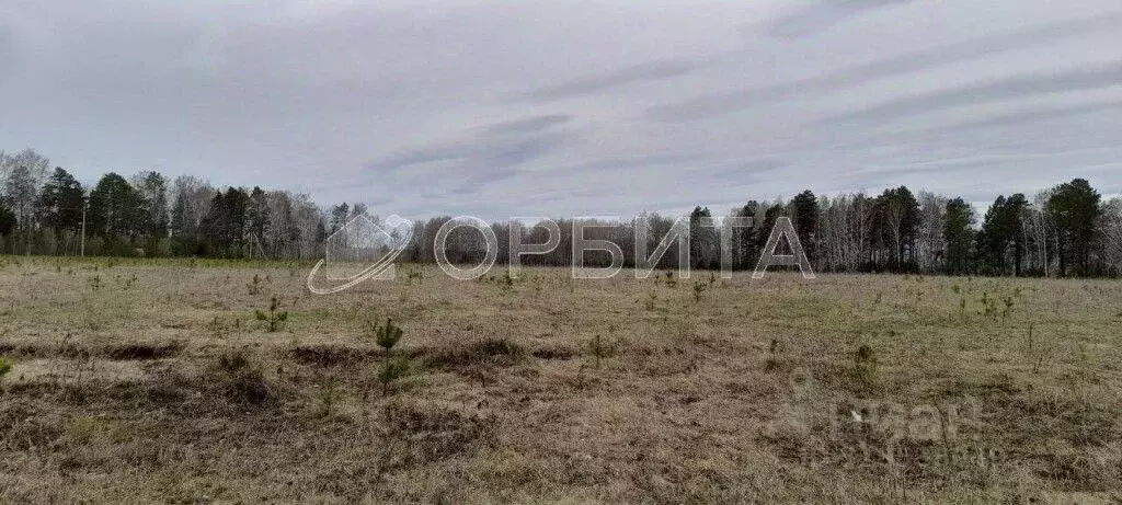 Участок в Тюменская область, Тюменский район, Новокаменский кп ул. ... - Фото 2