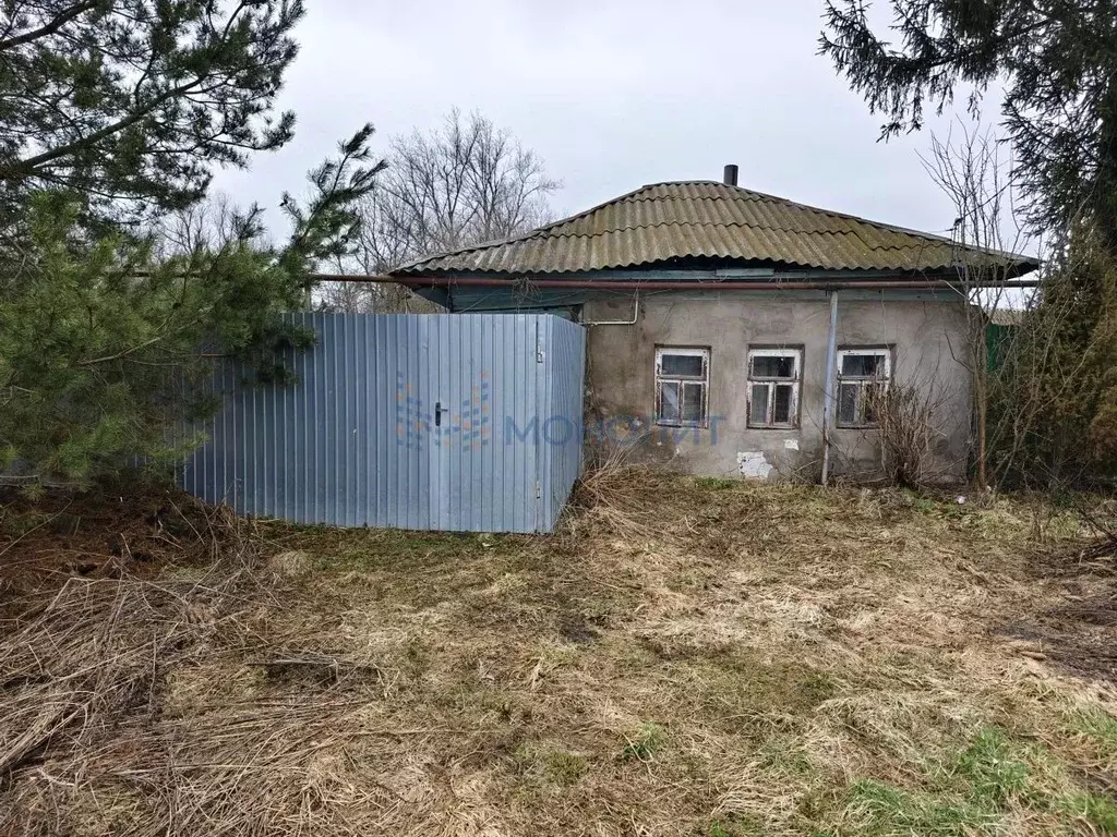 Участок в Нижегородская область, Богородский муниципальный округ, с. ... - Фото 1