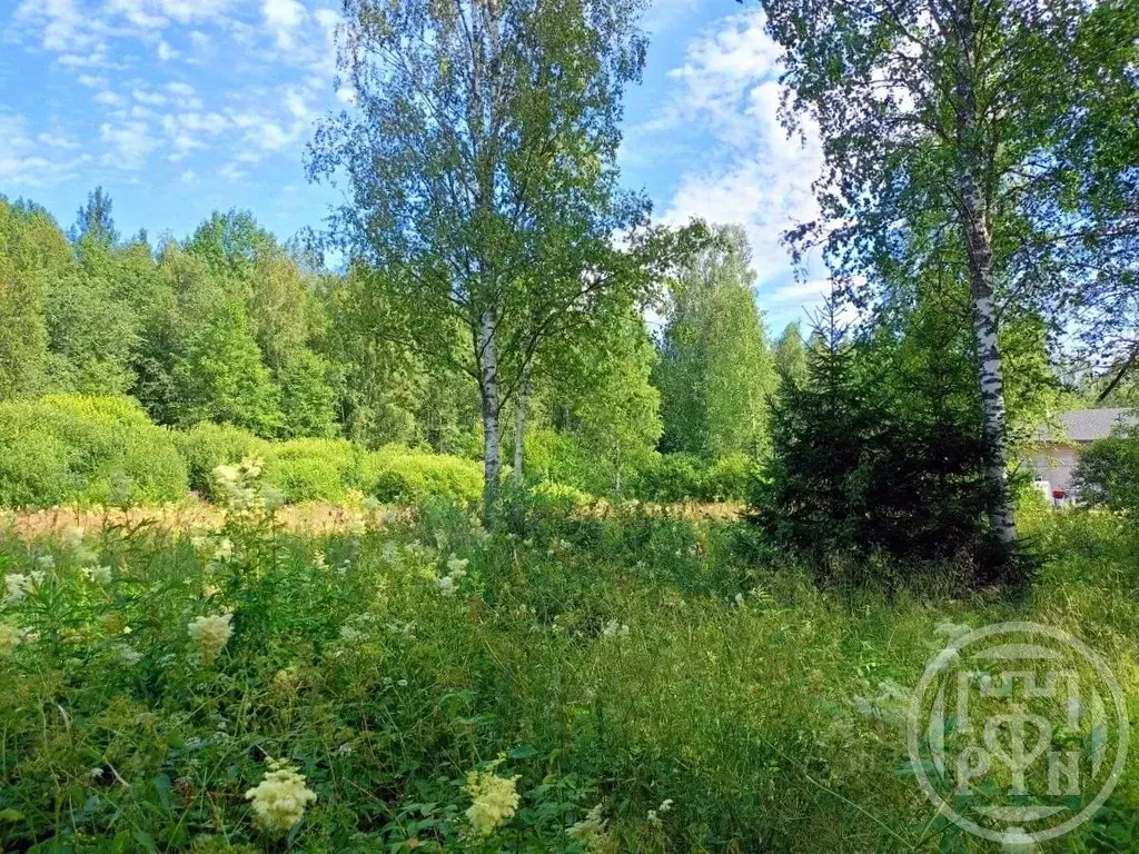 Участок в Ленинградская область, Выборгский район, Советское городское ... - Фото 1