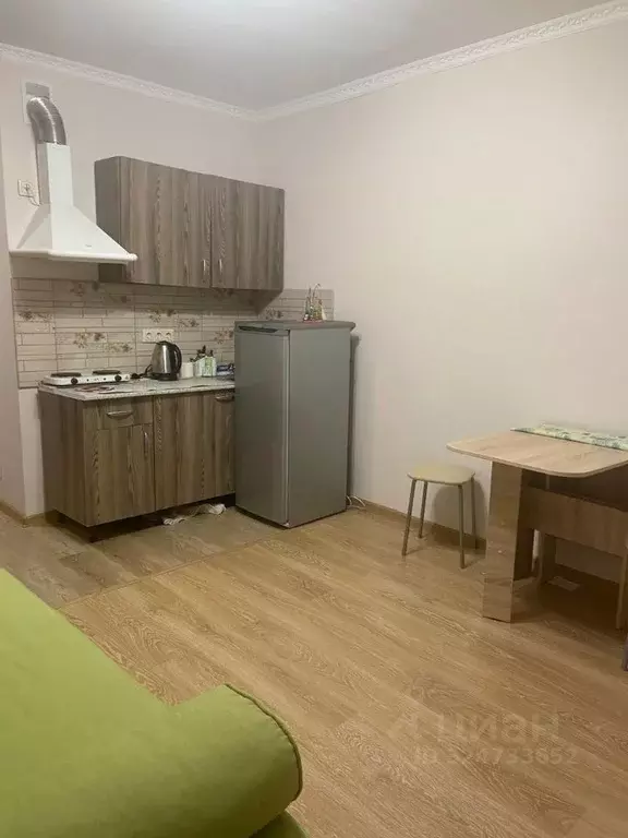 Студия Московская область, Ленинский городской округ, Лопатино пгт ... - Фото 2